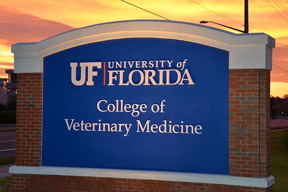 Parasitologist receives UF veterinary college’s top teaching award