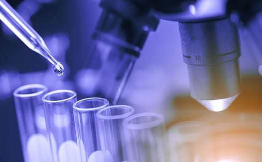 Brammer Bio Announces Progress on $200 Million Program to Advance Gene Therapies
