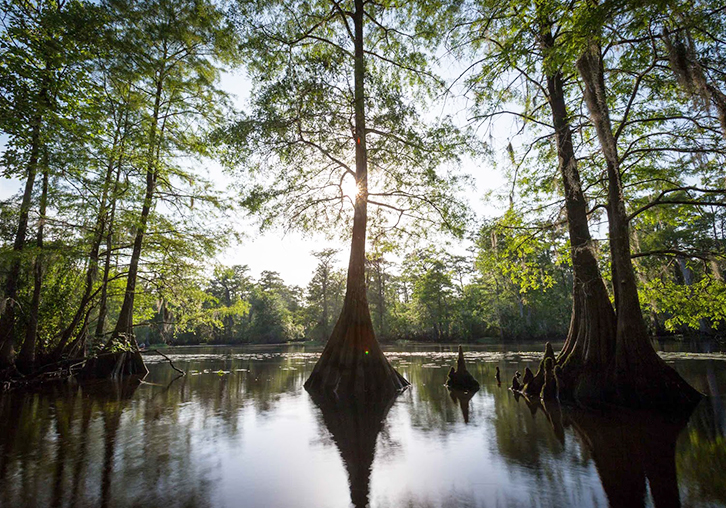 Alachua Conservation Trust earns one of nine national grant awards