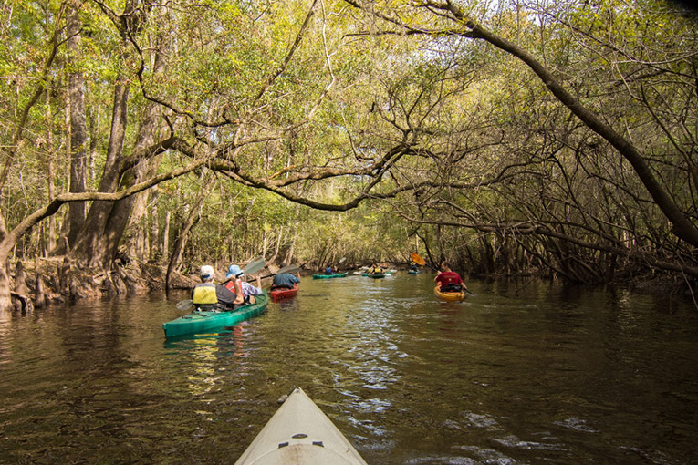 $35,000 Awarded to Alachua Conservation Trust to Protect Land in the Santa Fe River Basin