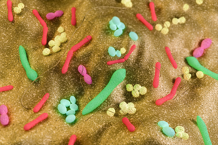 Gut microbiome may be linked to high blood pressure and depression