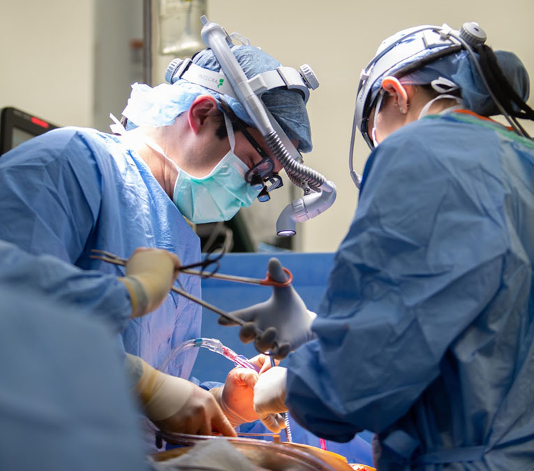 Landmark Multiorgan Surgery at UF Health Shands Reverses Patient’s Terminal Prognosis
