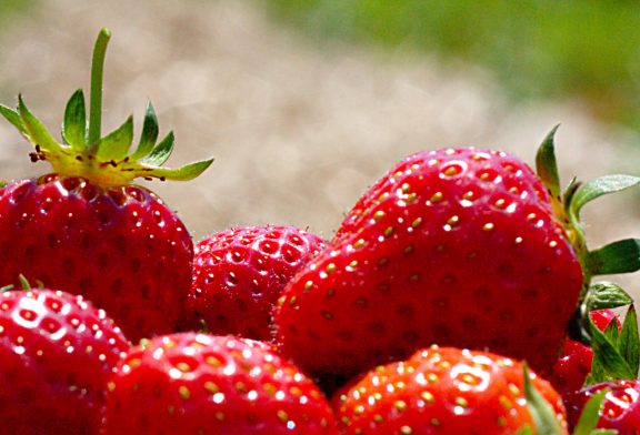 Strawberry is the October Plant of the Month