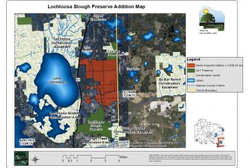 Alachua County Adds 3,936 Acres to the Lochloosa Slough Preserve