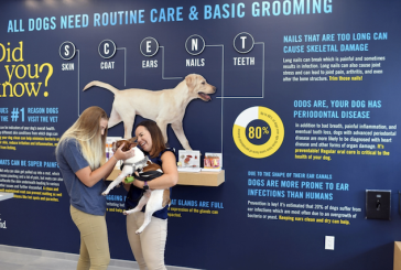 Locally-owned dog care business celebrates first anniversary, announces second location